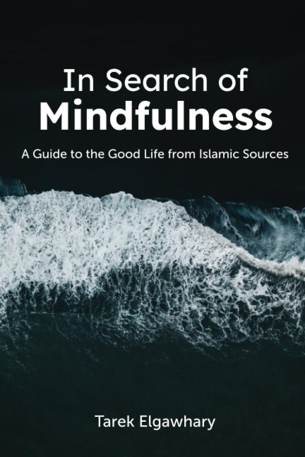 Book cover of In Search Of Mindfulness: A Guide To The Good Life From Islamic Sources by Tarek Elgawhary