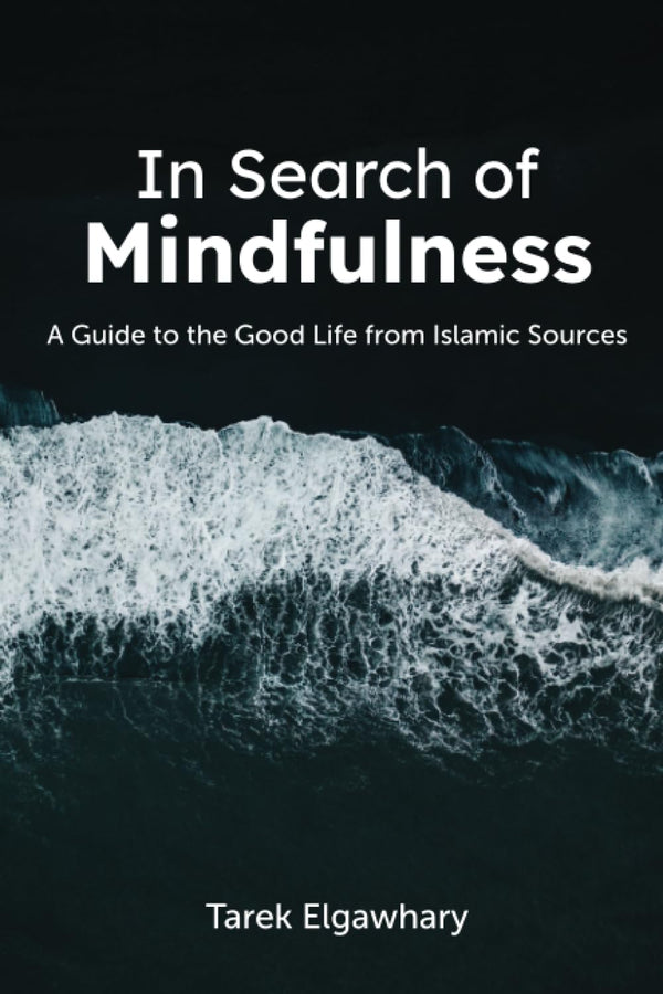 Book cover of In Search Of Mindfulness: A Guide To The Good Life From Islamic Sources by Tarek Elgawhary