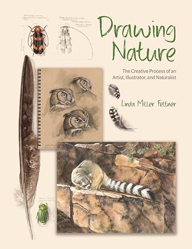 Book cover of Drawing Nature: The Creative Process Of An Artist, Illustrator, And Naturalist by Linda M. Feltner