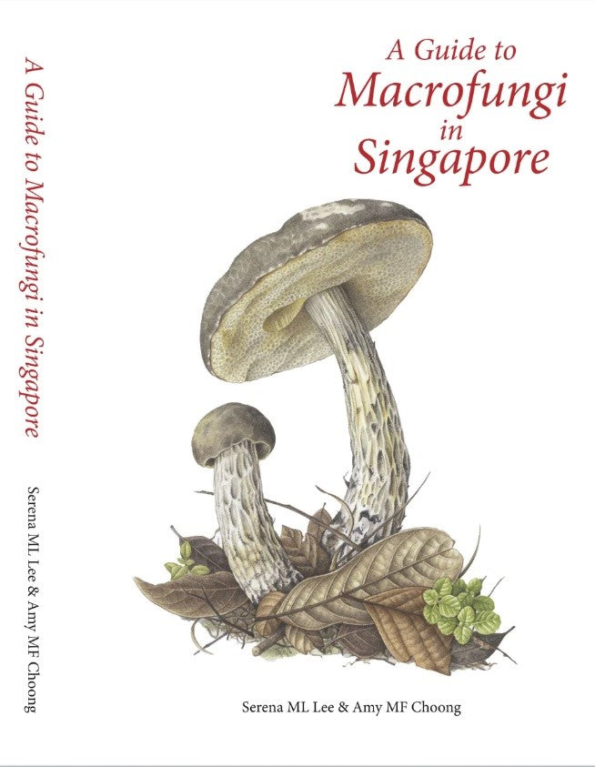 Book cover of A Guide to Macrofungi in Singapore by Serena ML Lee, Amy MF Choong