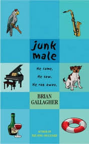 Book cover of Junk Male by Brian     Gallagher