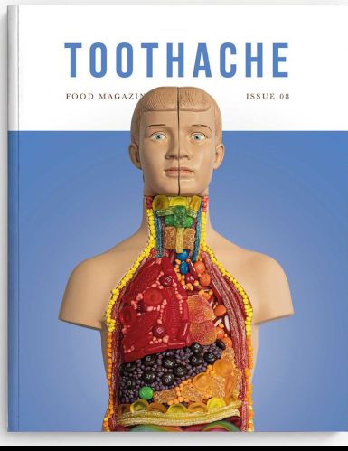 Book cover of Toothache Issue No 8