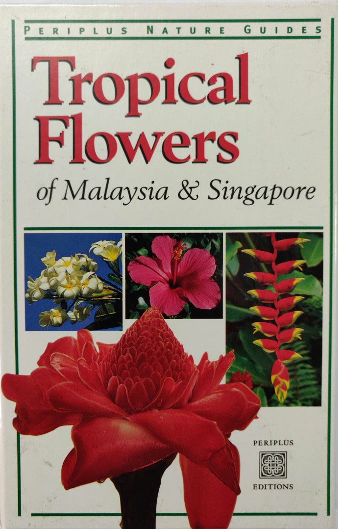 Book cover of Tropical Flowers by William Warren, Luca Invernizzi Tettoni