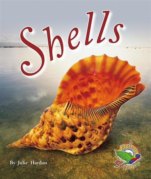 Book cover of Shells by JULIE JAYDON