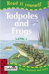 Book cover of Tadpoles And Frogs by Lorraine Horsley, Sharon Harmer (Illus.)