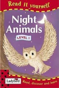 Book cover of Night Animals: Level 1 by Lorraine Horsley