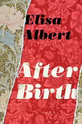 Book cover of After Birth by Elisa Albert