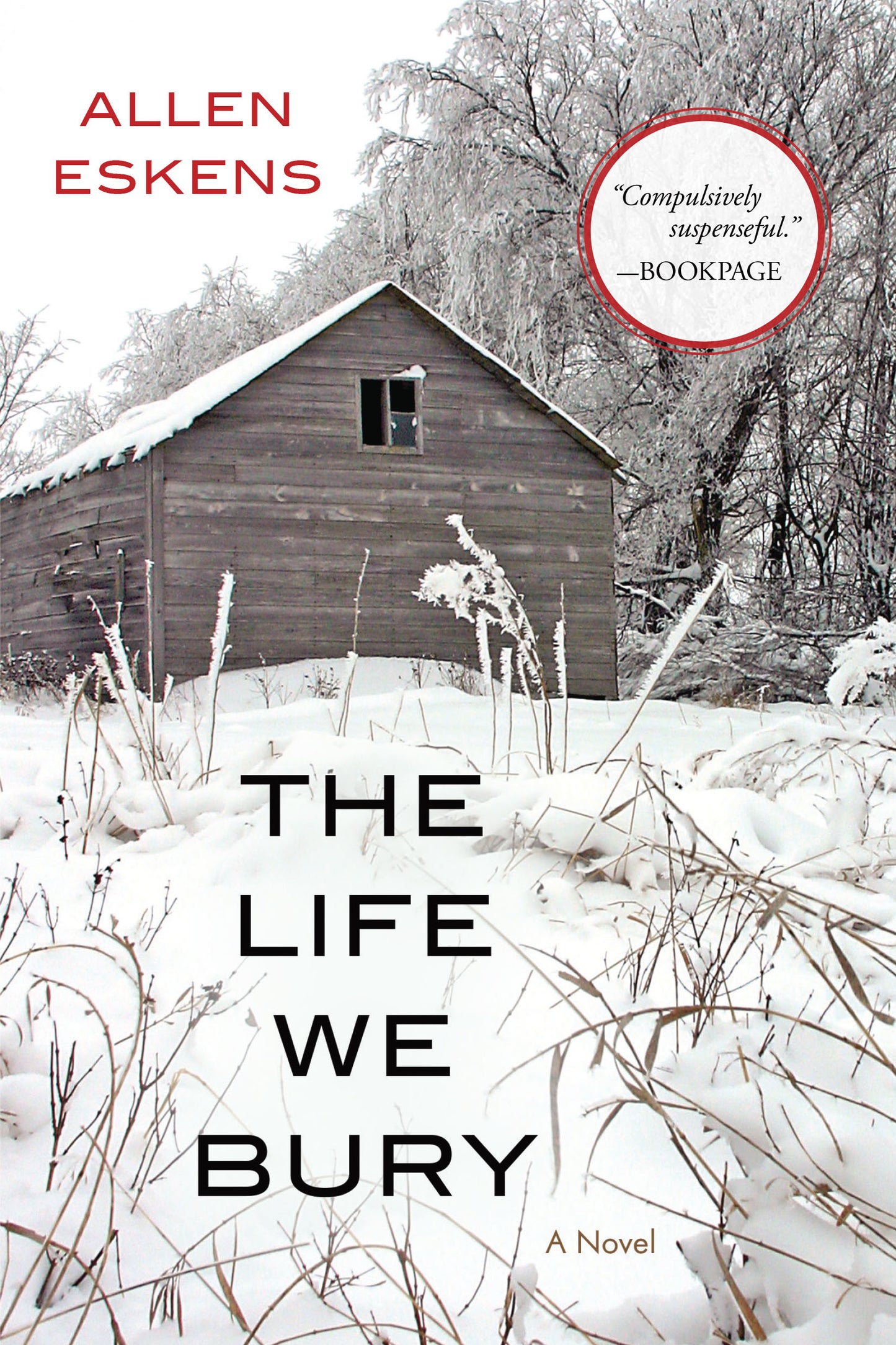 Book cover of The Life We Bury by Allen Eskens