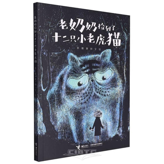 Book cover of 老奶奶捡到了十二只小老虎猫（2024年百班千人寒假书单 二年级推荐阅读） by 田宇 彭懿, 新华书店北美网