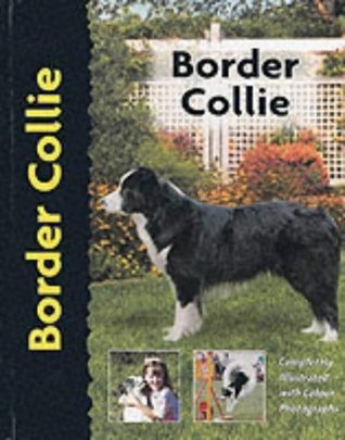 Book cover of Border Collie by Stephen Sussam