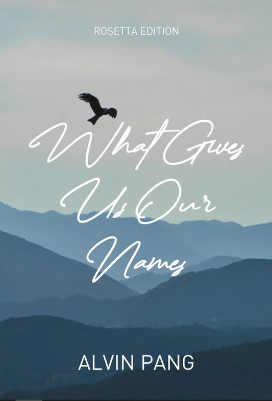 Book cover of What GivEs Us Our Names by Alvin Pang