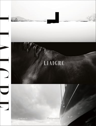 Book cover of Liaigre: 12 Projects by Christian Liaigre