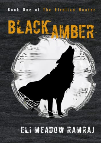 Book cover of Black Amber by Eli Meadow Ramraj