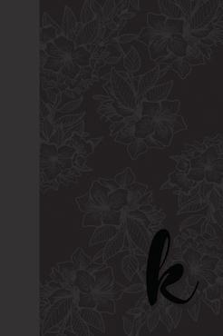 Book cover of K: A RunHideSeek Companion Book by Gabby Tye