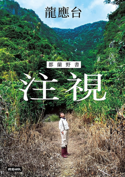 Book cover of 注视—都兰野书 by Lung Ying-tai, 龍應台