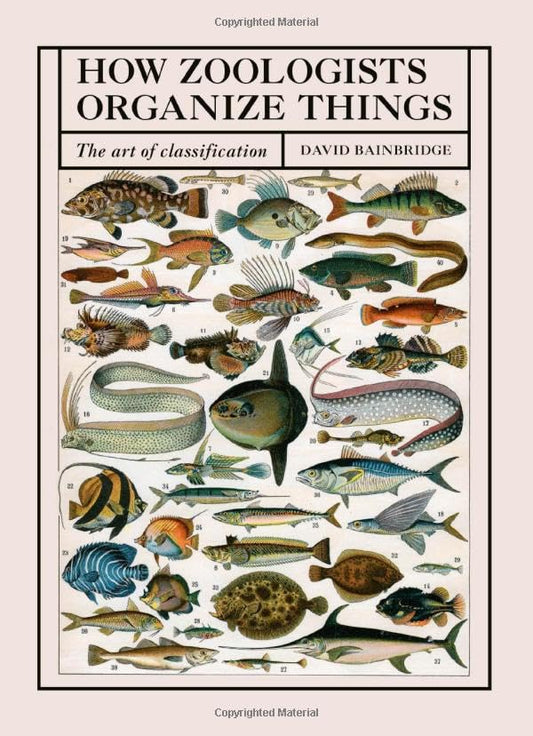 Book cover of How Zoologists Organize Things: The Art Of Classification by David Bainbridge