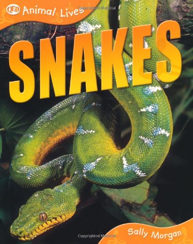 Book cover of Snakes by sally-morgan