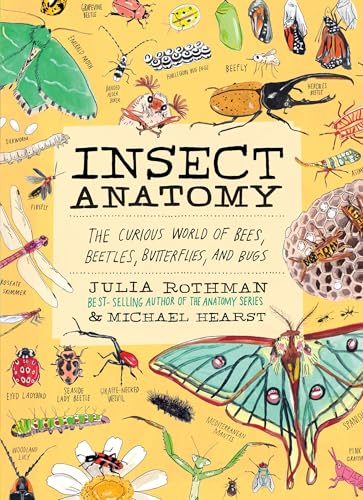 Book cover of Insect Anatomy: The Curious World of Bees, Beetles, Butterflies, and Bugs by Julia Rothman, Michael Hearst (Primary_Contributor)