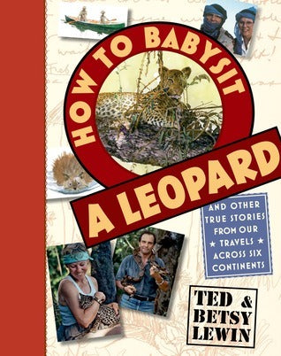Book cover of How to Babysit a Leopard: And Other True Stories From Our Travels Across Six Continents by Ted Lewin, Betsy Lewin