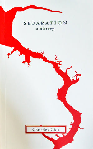 Book cover of Separation: A History by Christine Chia