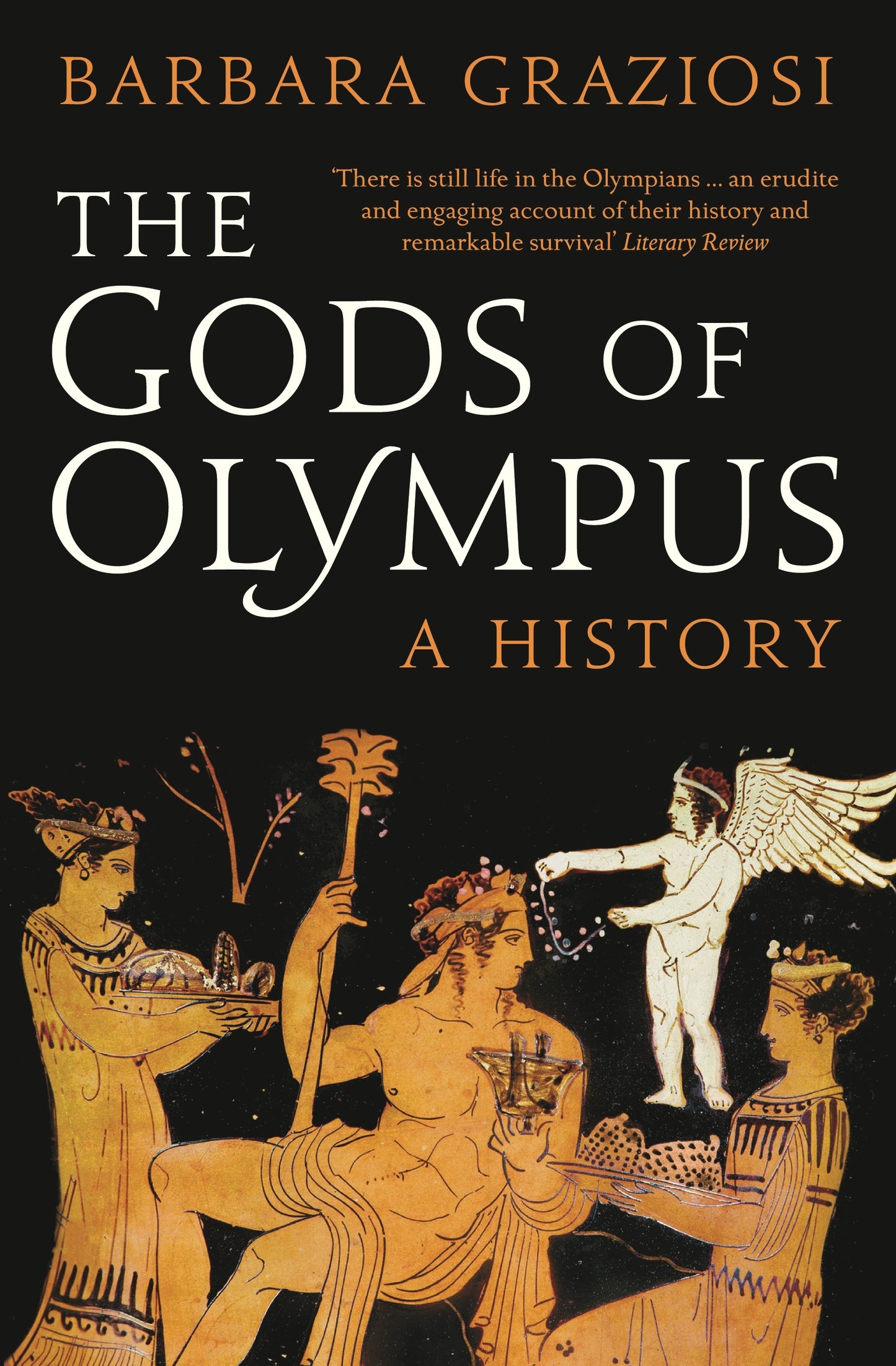 Book cover of The Gods of Olympus: A History by Barbara Graziosi