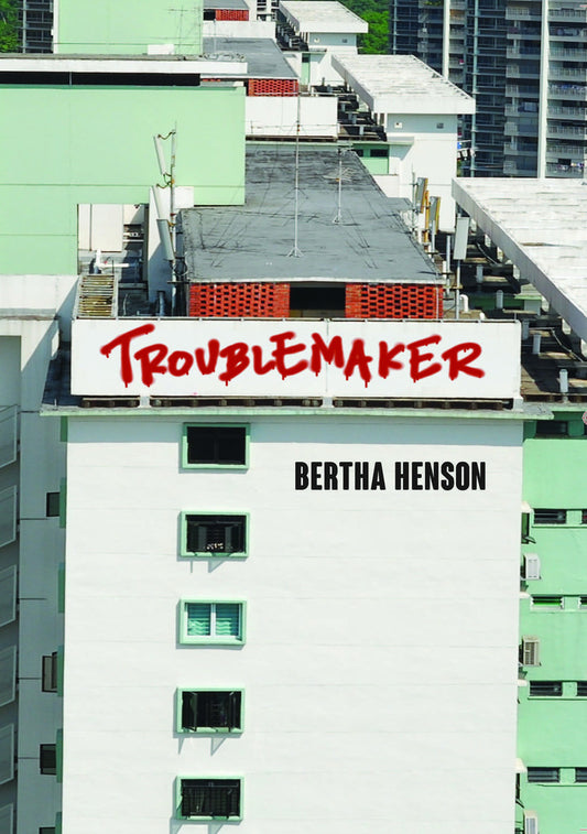 Book cover of Troublemaker by Bertha Henson
