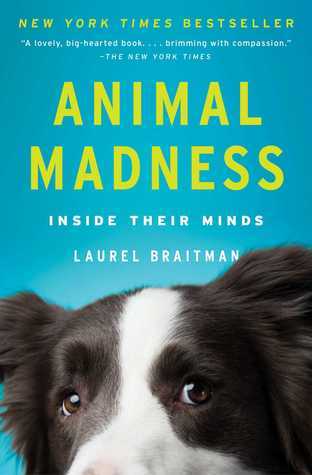 Book cover of Animal Madness: Inside Their Minds by Laurel Braitman