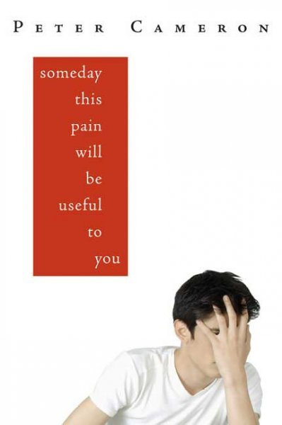 Book cover of Someday This Pain Will Be Useful To You by Peter    Cameron