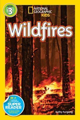 Book cover of Wildfires by Kathy Furgang