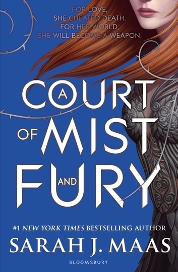 Book cover of A Court Of Mist And Fury by Sarah J. Maas