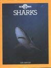 Book cover of Sharks by Lee Server