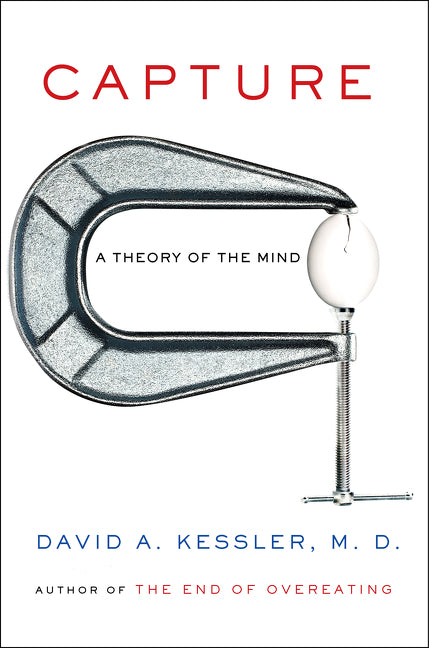 Book cover of Capture: Unraveling The Mystery Of Mental Suffering by David A. Kessler