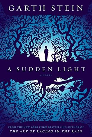 Book cover of A Sudden Light by Garth Stein