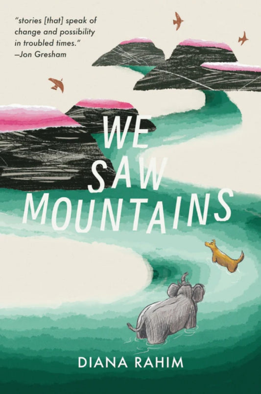 Book cover of We Saw Mountains by Diana Rahim