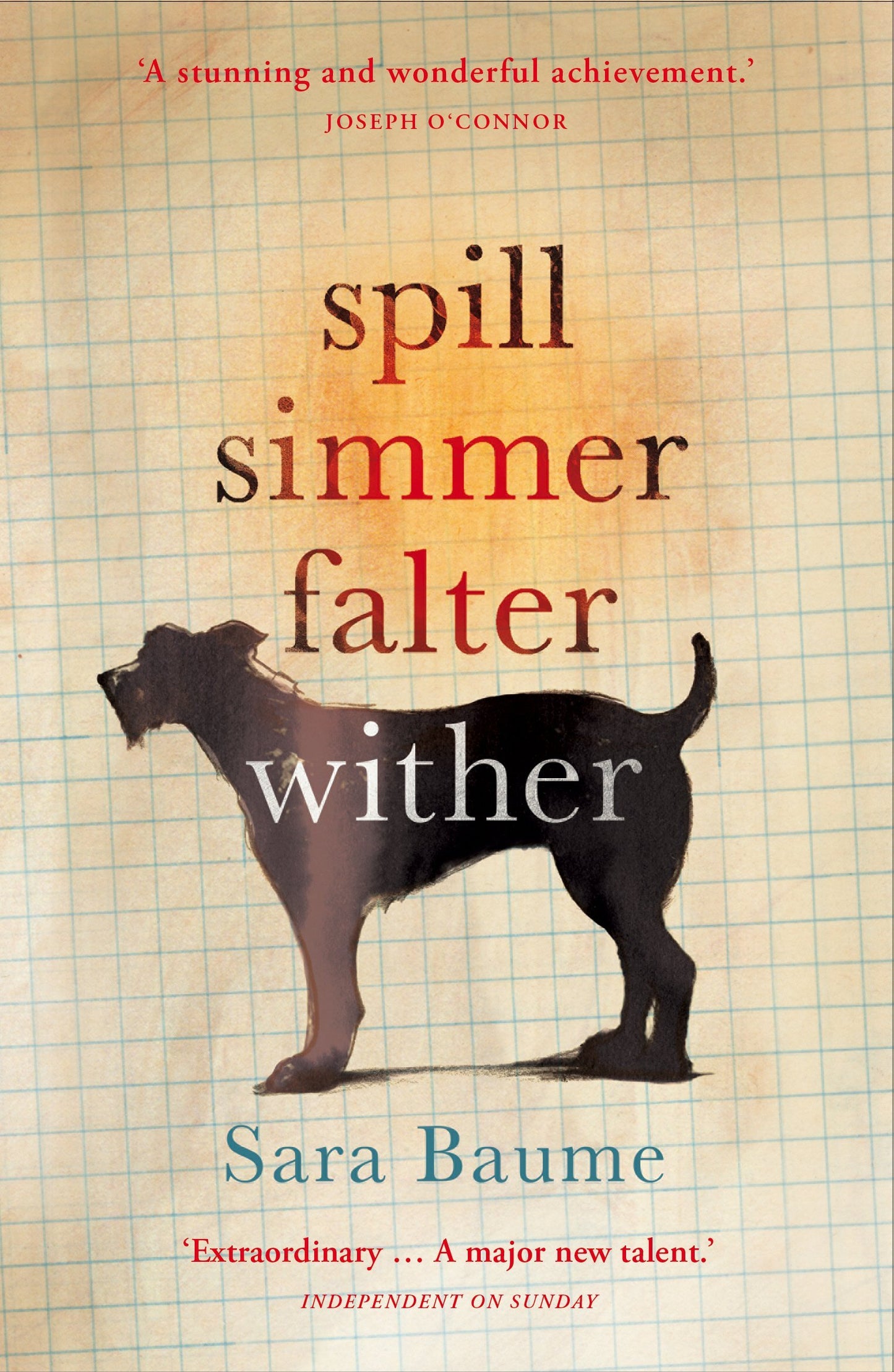 Book cover of Spill Simmer Falter Wither by Sara Baume