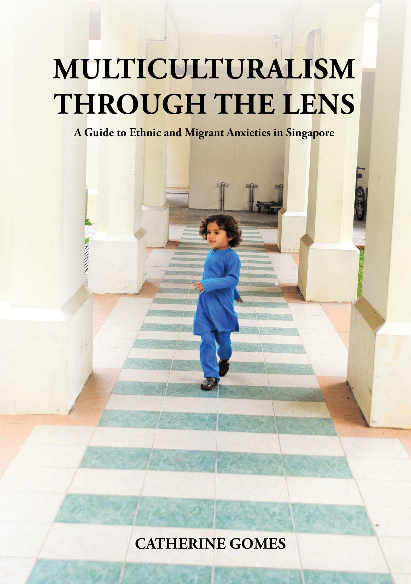 Multiculturalism Through The Lens: A Guide To Ethni... (9789810943332 ...