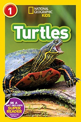 Book cover of Turtles by Laura Marsh
