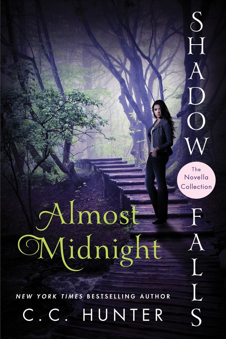 Book cover of Almost Midnight by C.C. Hunter