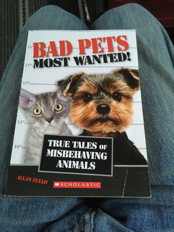 Book cover of Bad Pets Most Wanted! True Tales Of Misbehaving Animals by Allan Zullo