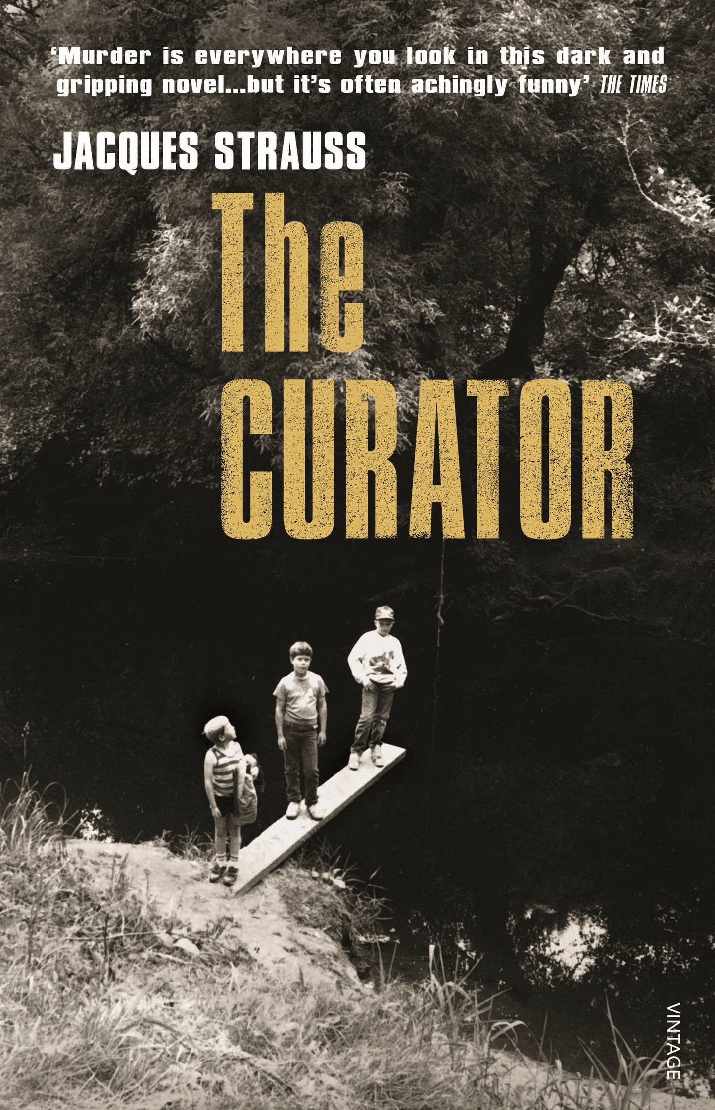 Book cover of The Curator by Jacques Strauss