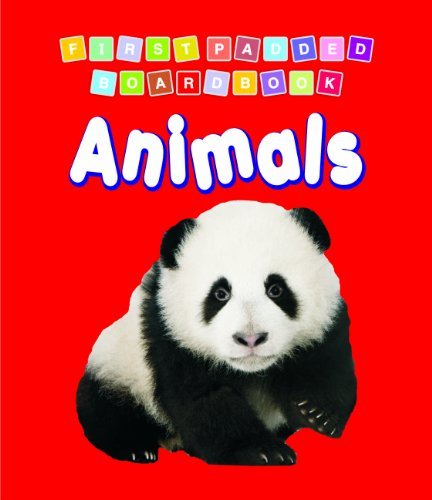 Book cover of Animals by Dreamland Publications