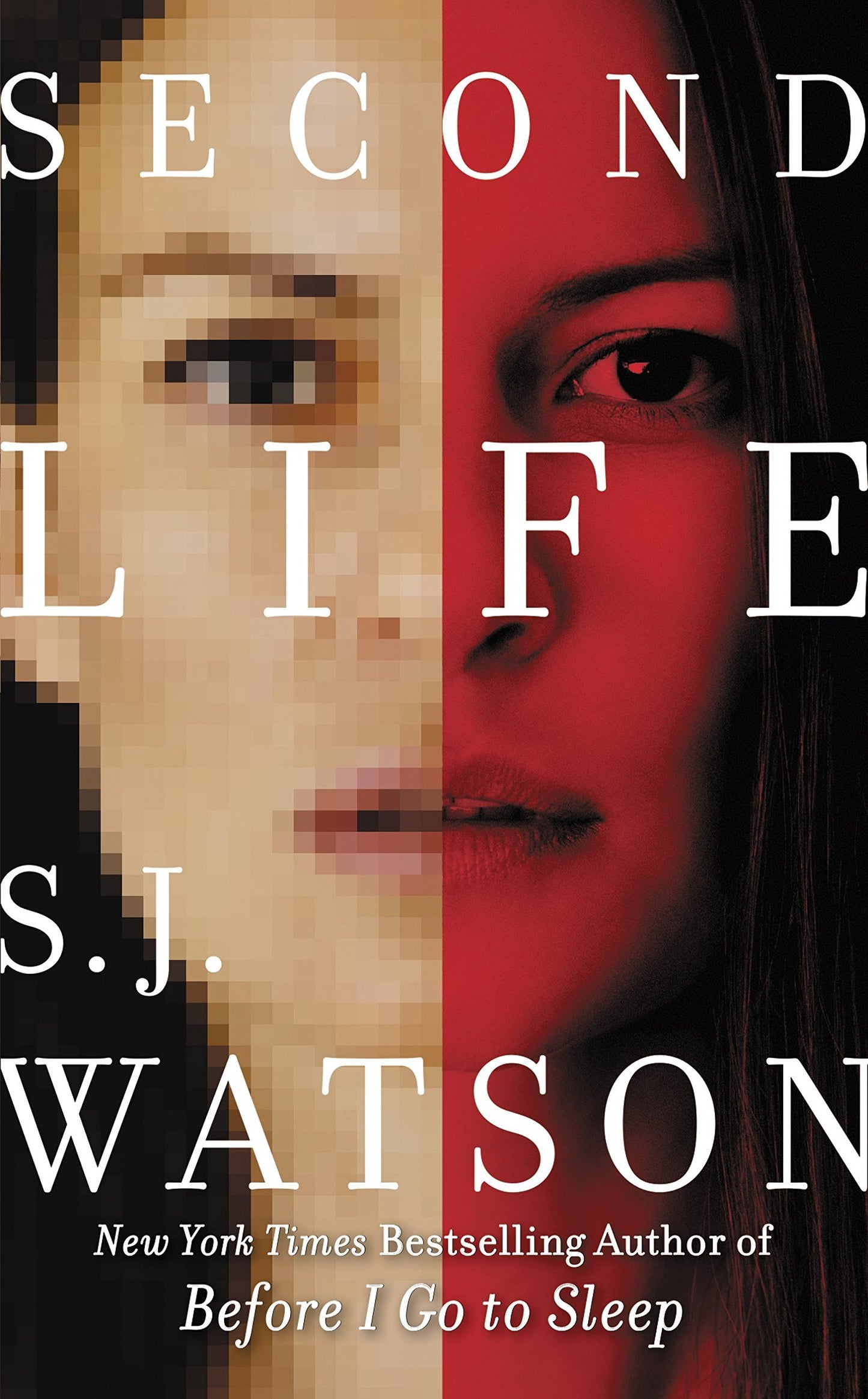 Book cover of Second Life by S.J. Watson