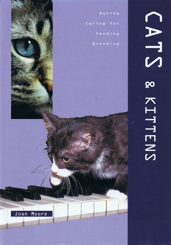 Book cover of Cats & Kittens by Joan Moore