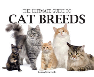 Book cover of Ultimate Guide To Cat Breeds by Louisa Somerville