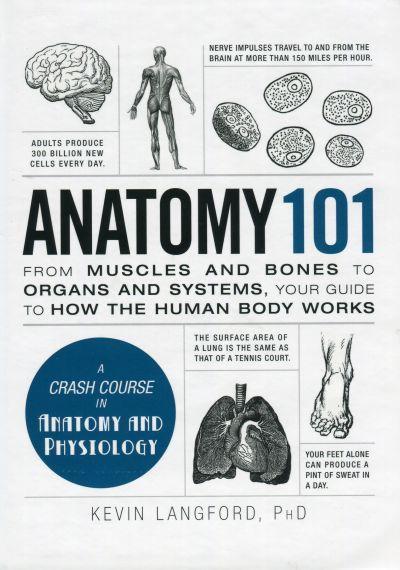 Book cover of Anatomy 101: From Muscles And Bones To Organs And Systems, Your Guide To How The Human Body Works by Kevin Langford