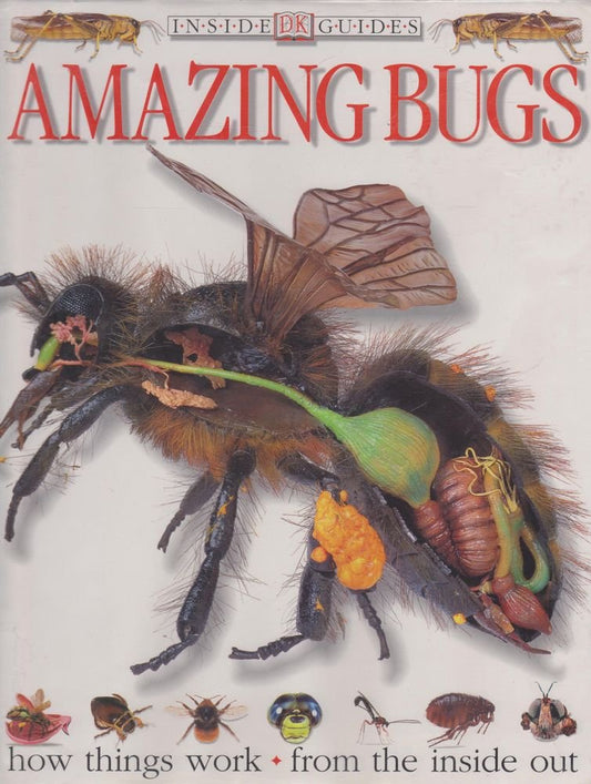 Book cover of Step-By-Step 50 Great Sandwiches by Edward Allwright (Photographer), Carole Handslip