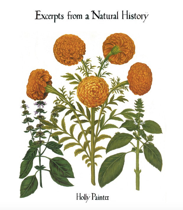 Book cover of Excerpts From A Natural History by Holly Painter