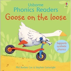 Book cover of Goose On The Loose by Phil Roxbee Cox, Stephen Cartwright (Illus.)