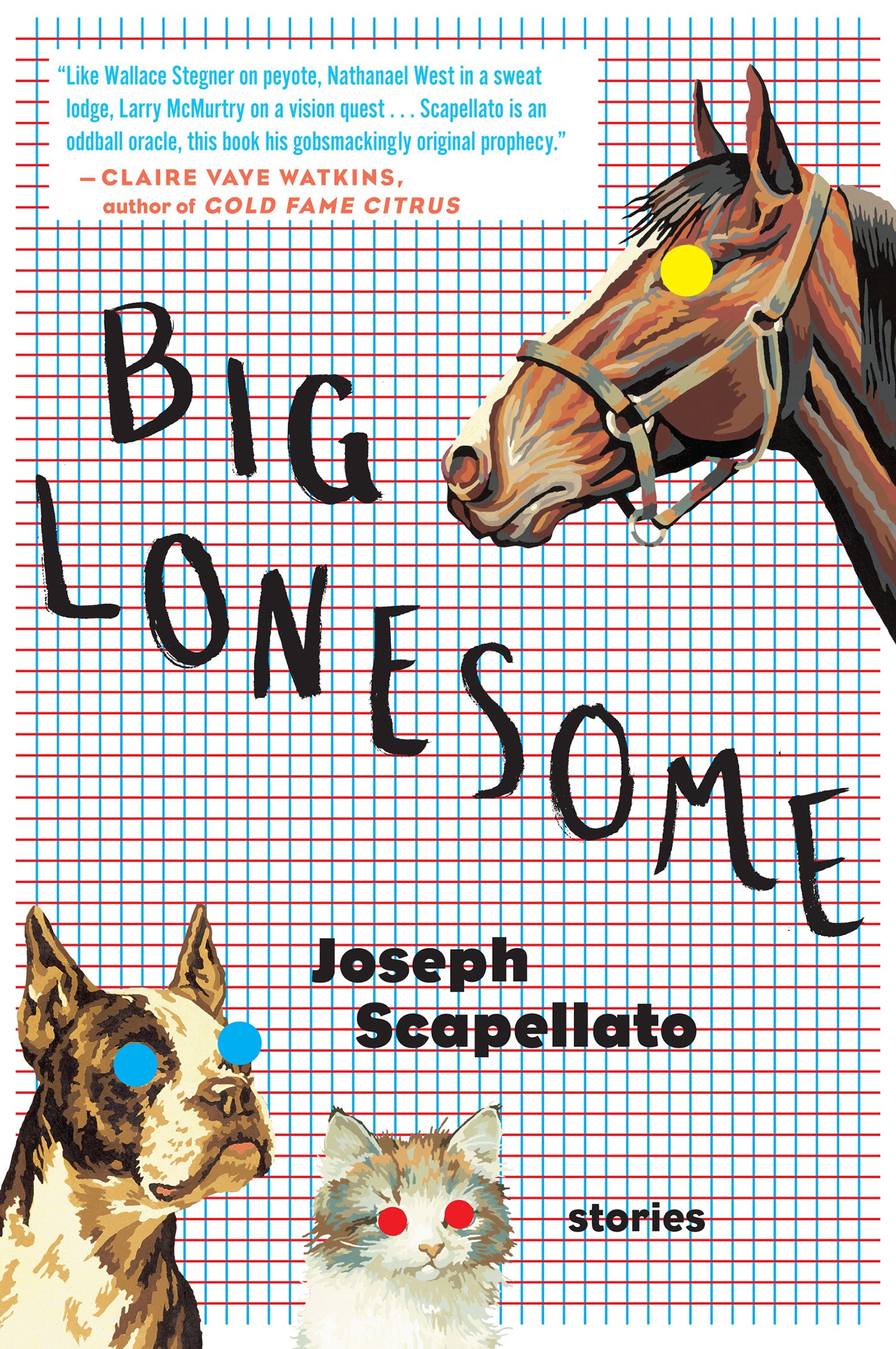 Book cover of Big Lonesome by Joseph Scapellato