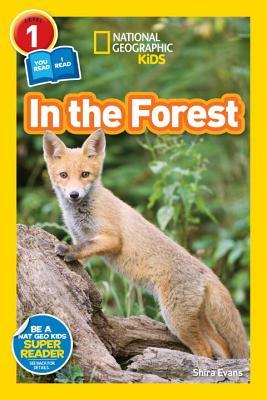 Book cover of In The Forest by Shira Evans